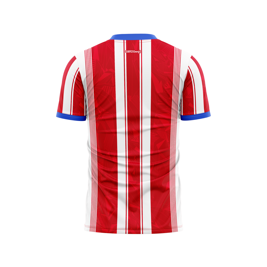 Paraguay Football/Soccer Jersey  2026