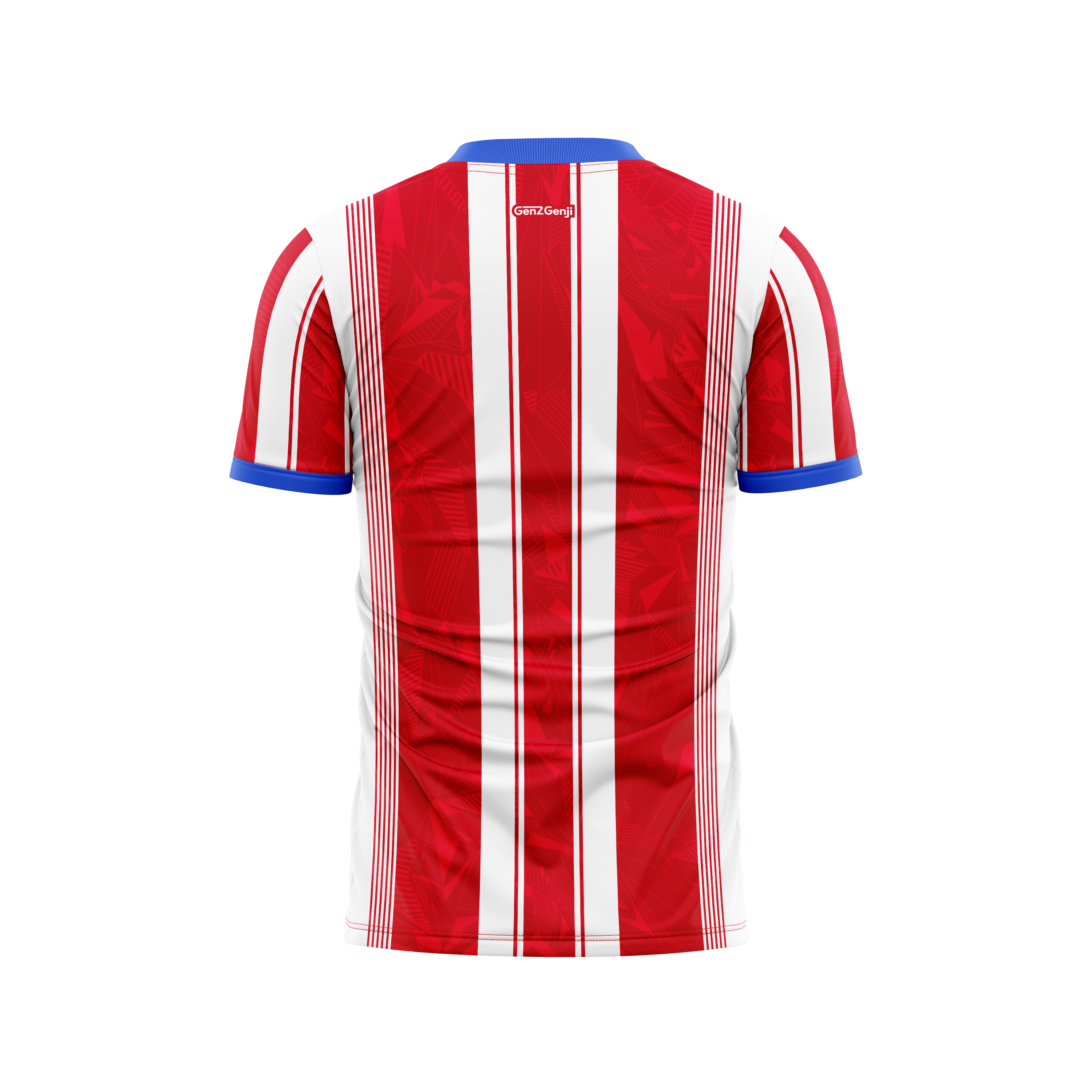 Paraguay Football/Soccer Jersey  2026