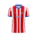 Paraguay Football/Soccer Jersey  2026